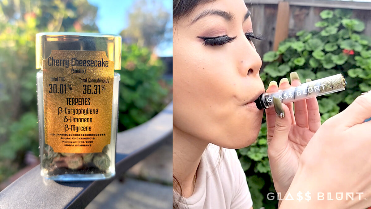 , Cherry Cheesecake Strain Review From 420 Kingdom, Glassblunt